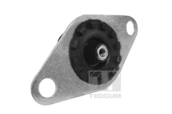 TEDGUM 00215024 - Lagerung, Motor