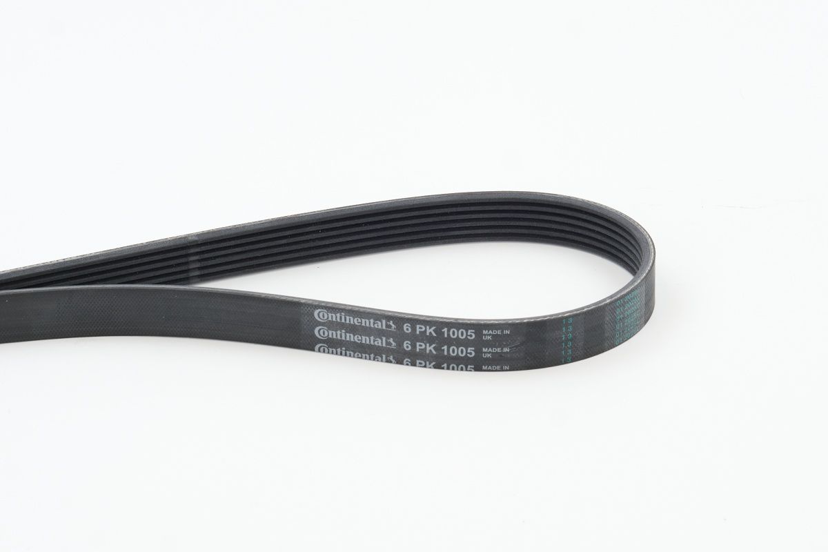 CONTINENTAL CTAM 6PK1005 - Keilrippenriemen