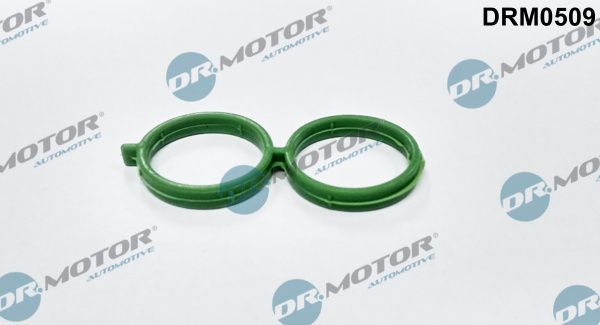 Dr.Motor Automotive DRM0509 - Dichtung, Leerlaufregelventil (Luftversorgung)