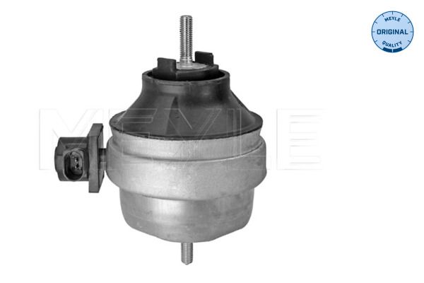 MEYLE 100 199 0134 - Lagerung, Motor