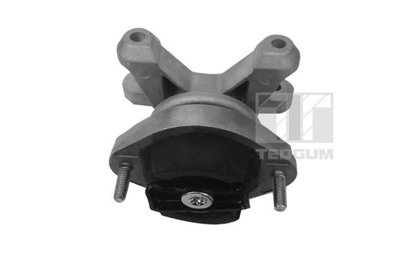 TEDGUM 00058910 - Lagerung, Motor