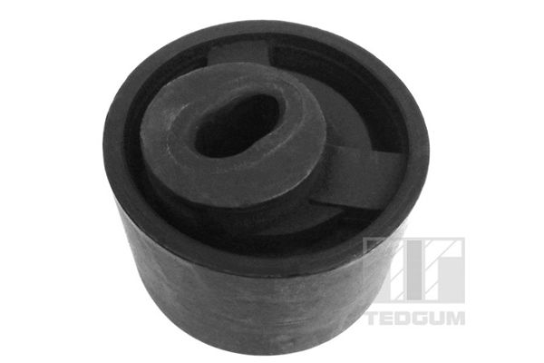 TEDGUM 00117145 - Lagerung, Motor