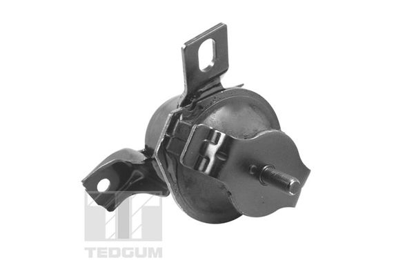 TEDGUM 00441120 - Lagerung, Motor