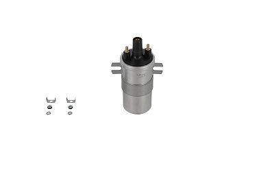 BorgWarner (BERU) ZS564 - Zündspule