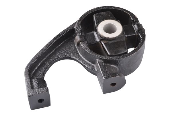 TEDGUM 00222221 - Lagerung, Motor