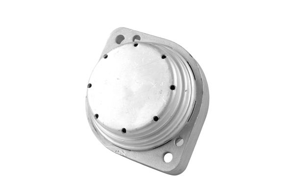 TEDGUM 00088434 - Lagerung, Motor