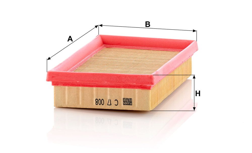MANN-FILTER C 17 008 - Luftfilter