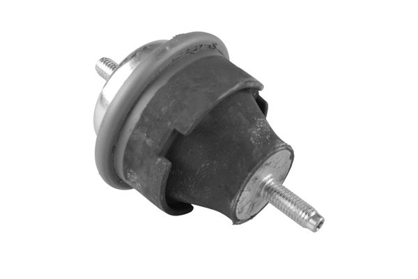 TEDGUM 00243994 - Lagerung, Motor
