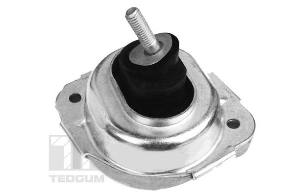 TEDGUM 00088550 - Lagerung, Motor