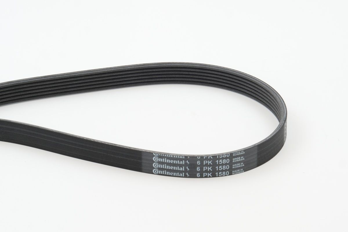 CONTINENTAL CTAM 6PK1580 - Keilrippenriemen