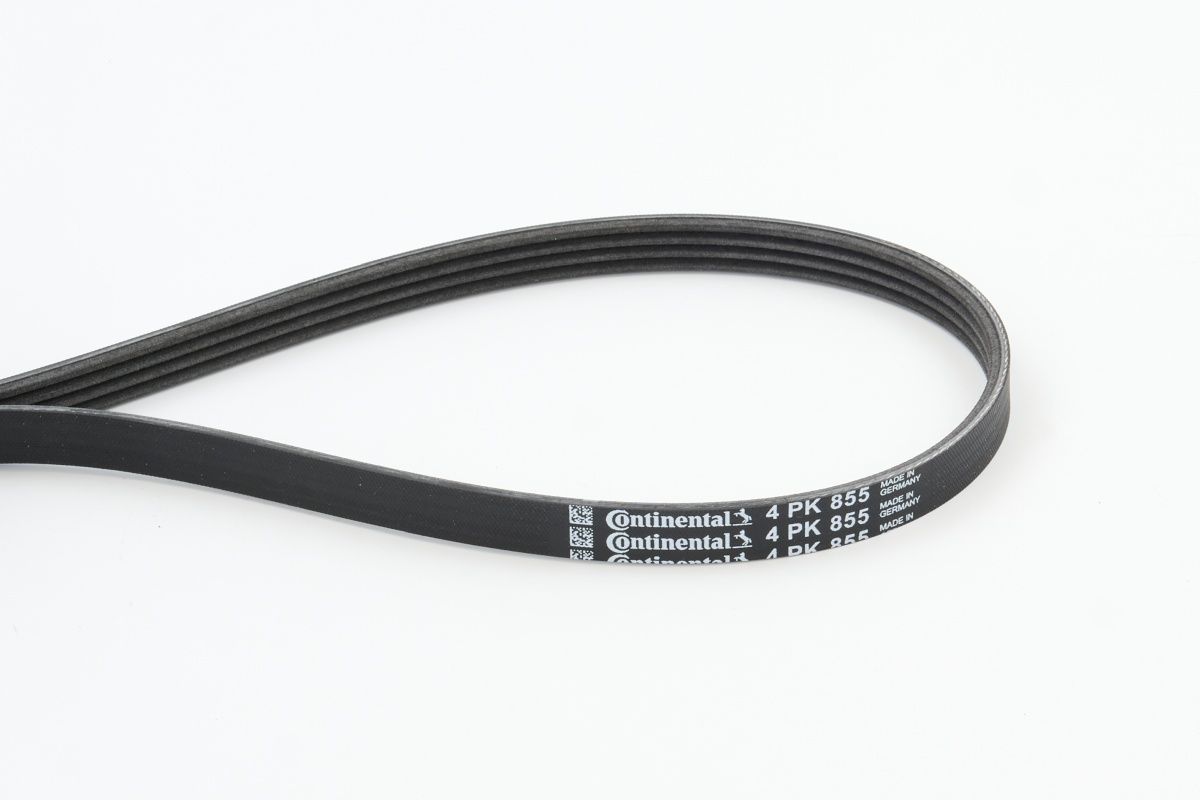 CONTINENTAL CTAM 4PK855 - Keilrippenriemen