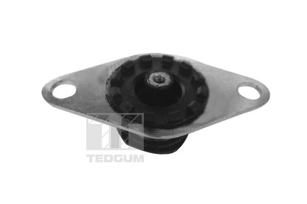 TEDGUM 00215024 - Lagerung, Motor