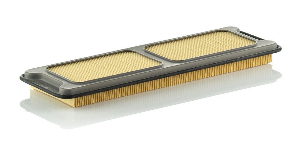 MANN-FILTER C 4373/1 - Luftfilter