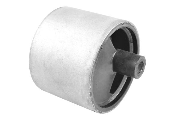 TEDGUM 00467995 - Lagerung, Motor