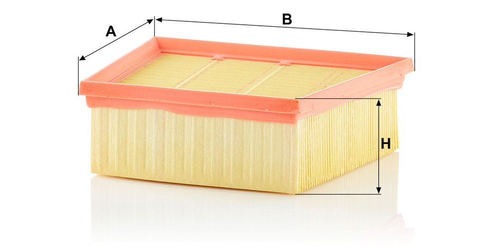 MANN-FILTER C 22 031 - Luftfilter