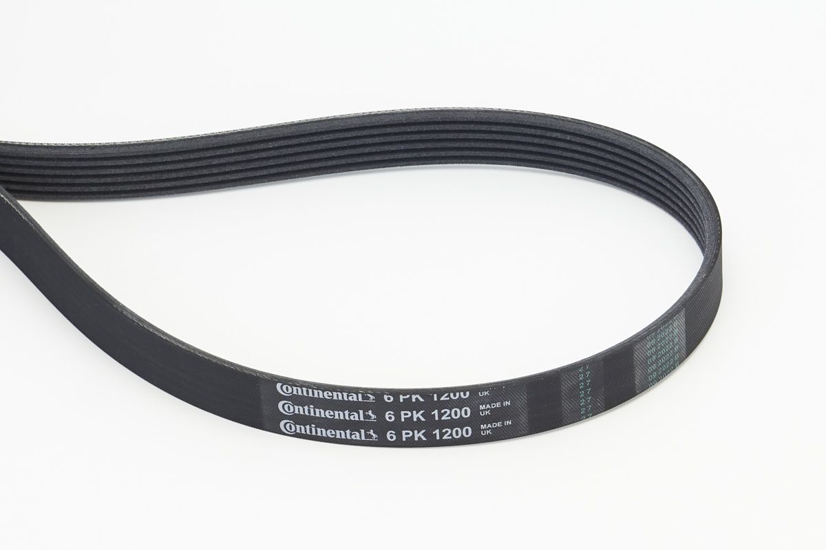 CONTINENTAL CTAM 6PK1200 - Keilrippenriemen