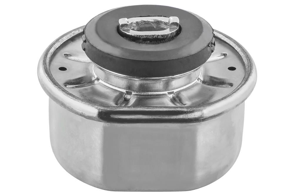 TOPRAN 104 050 - Lagerung, Motor