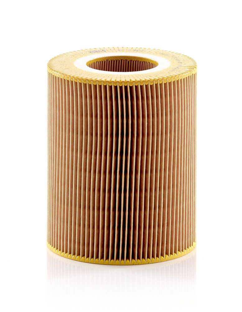 MANN-FILTER C 1381 - Luftfilter