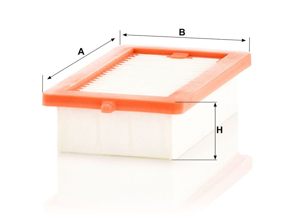 MANN-FILTER C 24 057 - Luftfilter