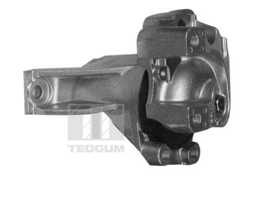 TEDGUM 00269468 - Lagerung, Motor