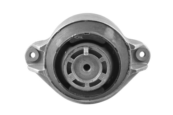 TEDGUM 00415897 - Lagerung, Motor
