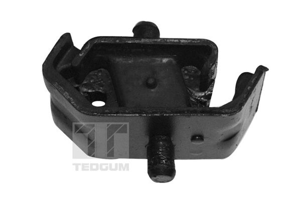 TEDGUM 00162172 - Lagerung, Motor