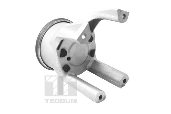 TEDGUM 00725748 - Lagerung, Motor
