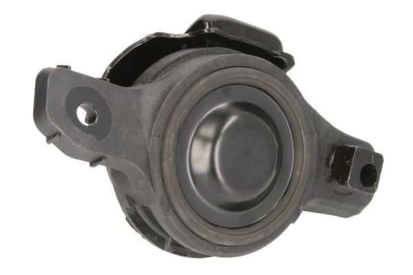 TEDGUM 00649871 - Lagerung, Motor