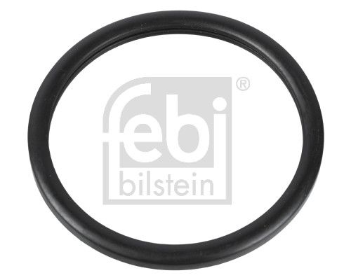 FEBI BILSTEIN 10255 - Dichtung, Thermostat