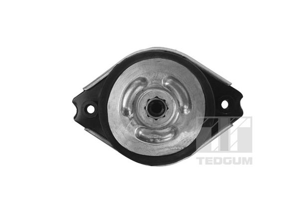 TEDGUM 00418536 - Lagerung, Motor