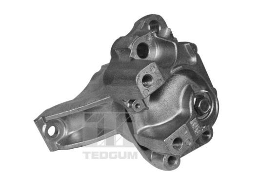 TEDGUM 00269468 - Lagerung, Motor