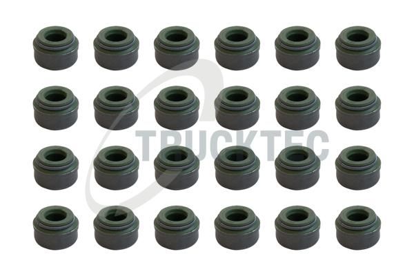 TRUCKTEC AUTOMOTIVE 02.43.166 - Dichtungssatz, Ventilschaft