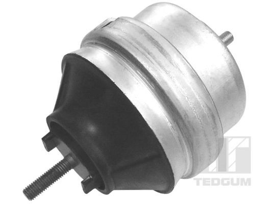 TEDGUM 00726440 - Lagerung, Motor