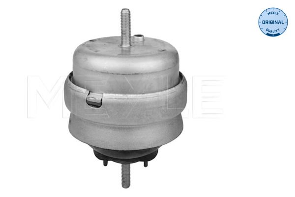 MEYLE 100 199 0192 - Lagerung, Motor