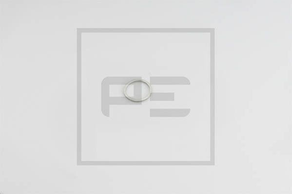 PE Automotive 011.057-00A - Dichtring, Ölablassschraube