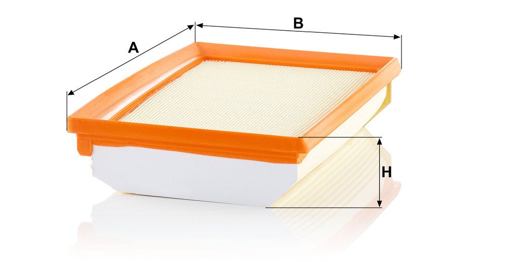 MANN-FILTER C 25 033 - Luftfilter