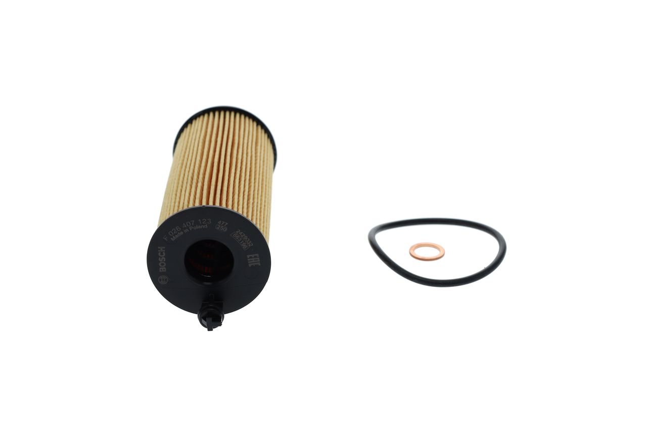 BOSCH F 026 407 123 - Ölfilter
