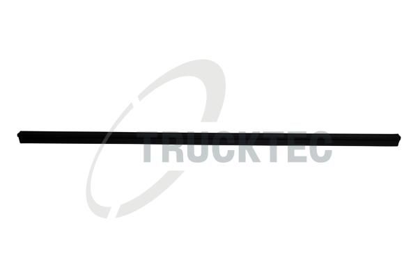 TRUCKTEC AUTOMOTIVE 02.53.103 - Zier-/Schutzleiste, Türscheibe