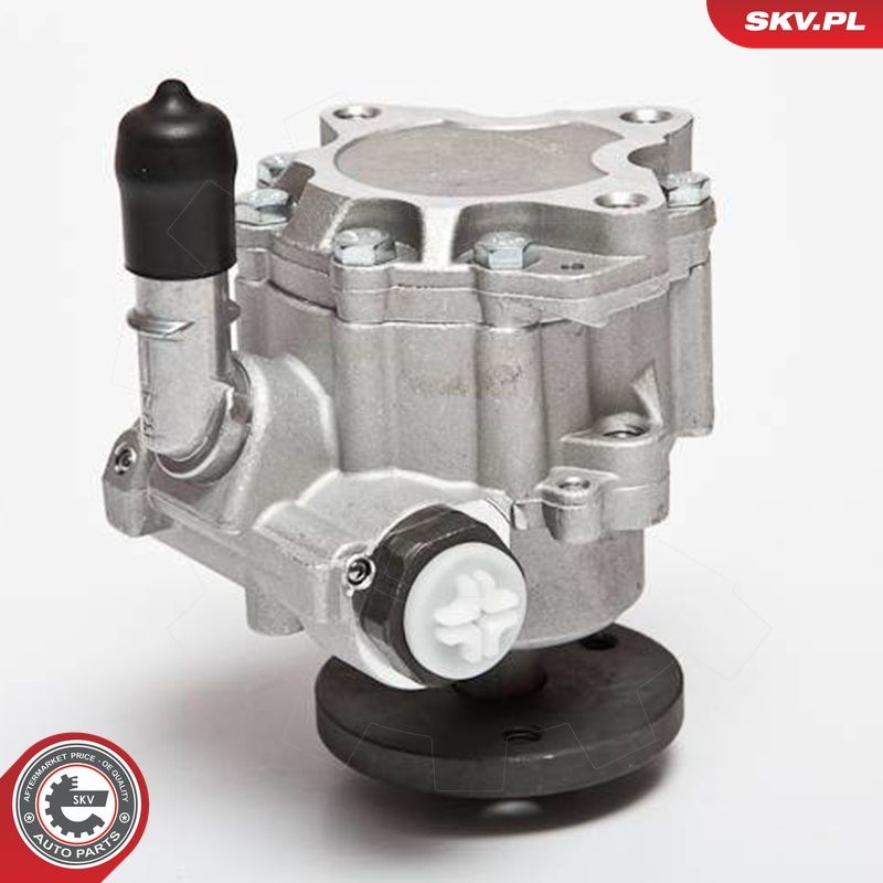 ESEN SKV 10SKV123 - Hydraulikpumpe, Lenkung