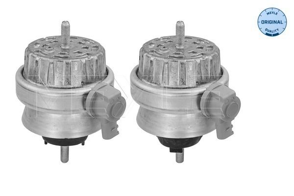 MEYLE 100 199 3001/S - Lagerung, Motor