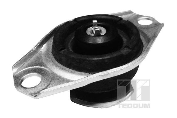 TEDGUM 00025995 - Lagerung, Motor