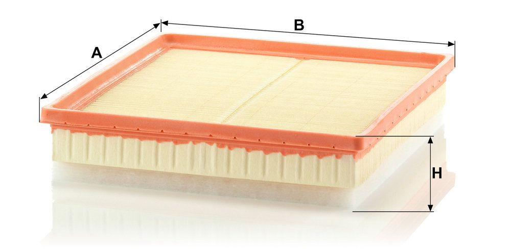 MANN-FILTER C 30 163 - Luftfilter