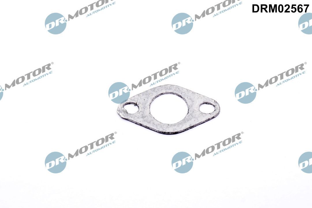 Dr.Motor Automotive DRM02567 - Dichtung, Sekundärluftventil