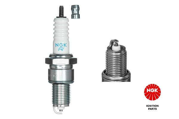 NGK 2023 - Zündkerze