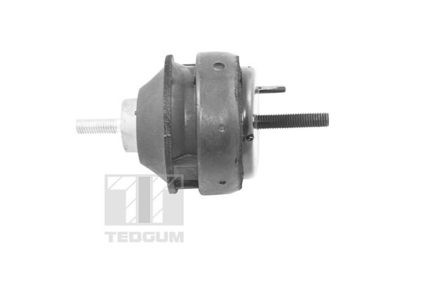 TEDGUM 00221186 - Lagerung, Motor
