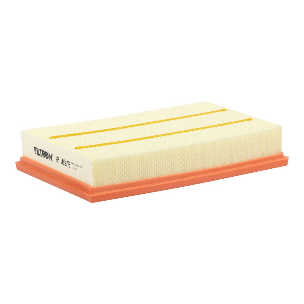 FILTRON AP 183/6 - Luftfilter