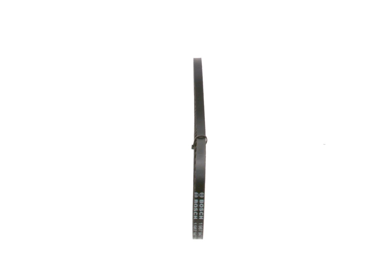BOSCH 1 987 947 790 - Keilriemen