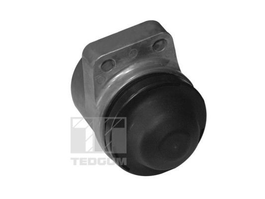TEDGUM 00399821 - Lagerung, Motor