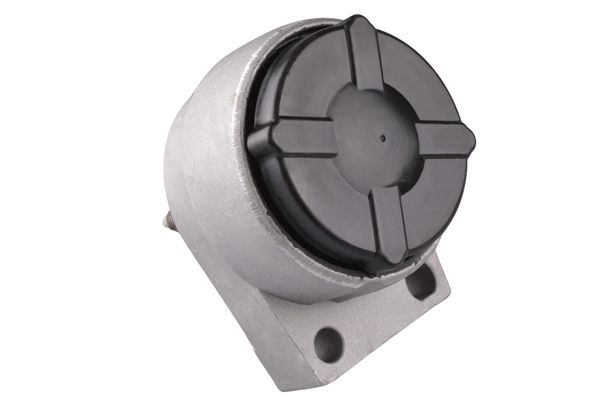 TEDGUM 00224114 - Lagerung, Motor