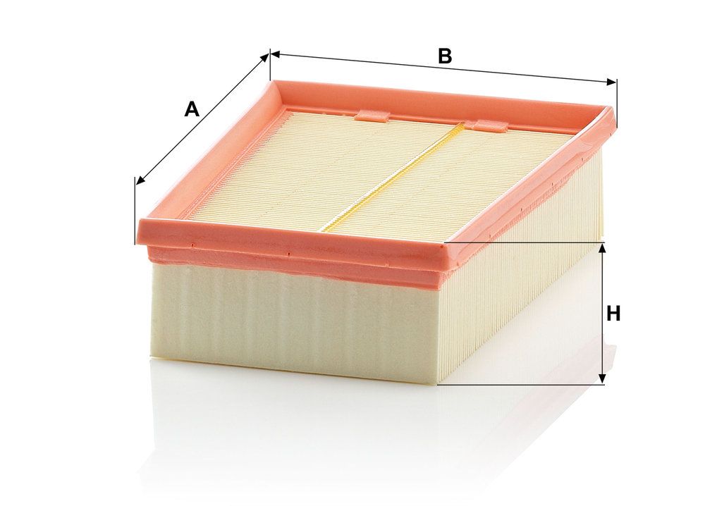 MANN-FILTER C 2433/2 - Luftfilter